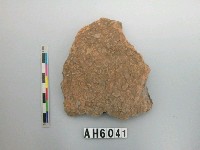 藏品(褐色粗砂陶片)的圖片